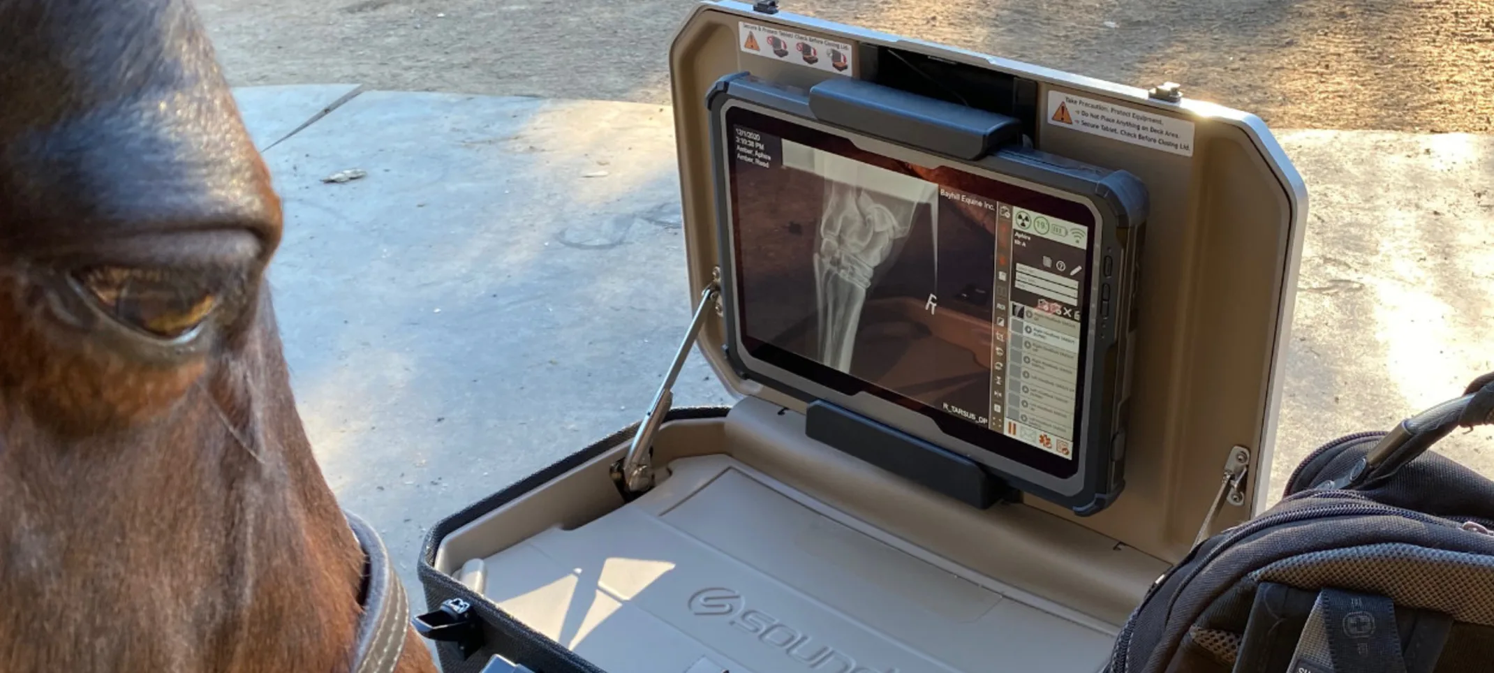 A horse standing next to equine digital radiography equipment